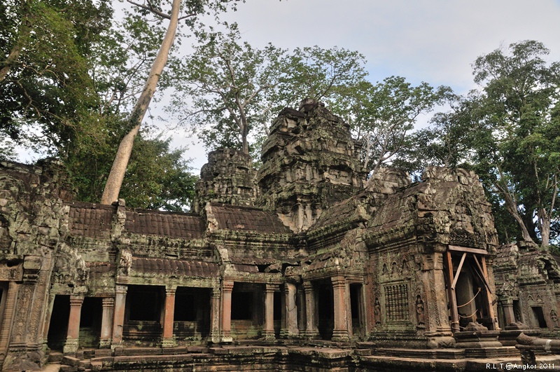 2011 吳哥窟-塔普倫神廟Taprohm Temple-古墓奇兵 安潔安潔莉娜裘莉 (117)