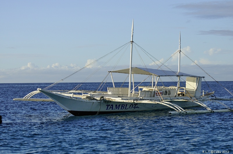 2012-CEBU菲律賓宿霧薄荷島-海豚迷蹤-D3+D300S (3)