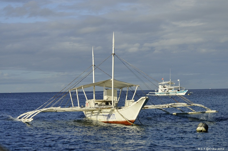 2012-CEBU菲律賓宿霧薄荷島-海豚迷蹤-D3+D300S (4)