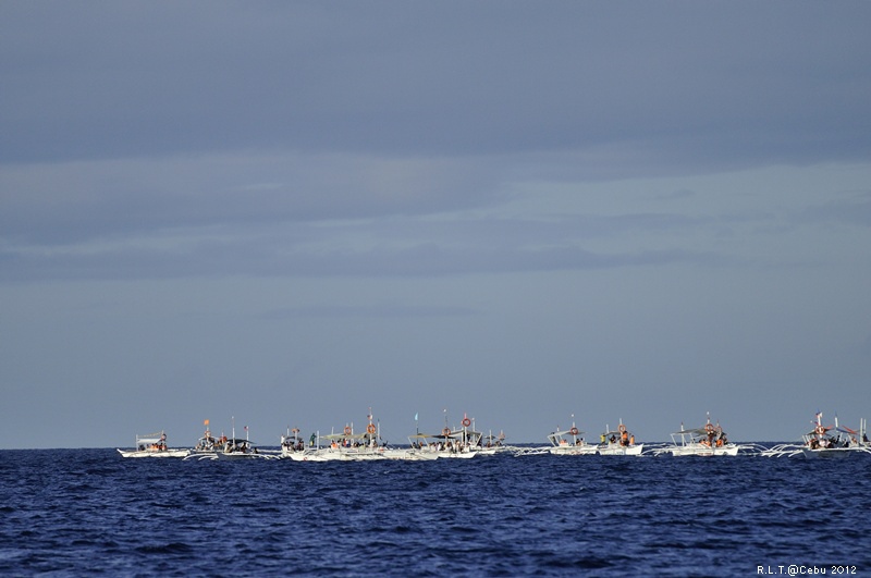 2012-CEBU菲律賓宿霧薄荷島-海豚迷蹤-D3+D300S (9)