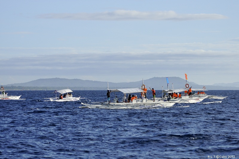 2012-CEBU菲律賓宿霧薄荷島-海豚迷蹤-D3+D300S (11)