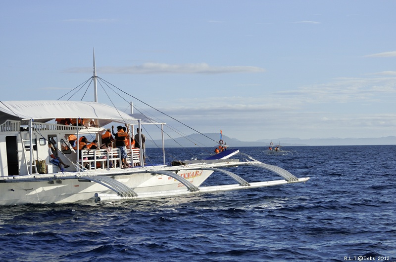 2012-CEBU菲律賓宿霧薄荷島-海豚迷蹤-D3+D300S (12)