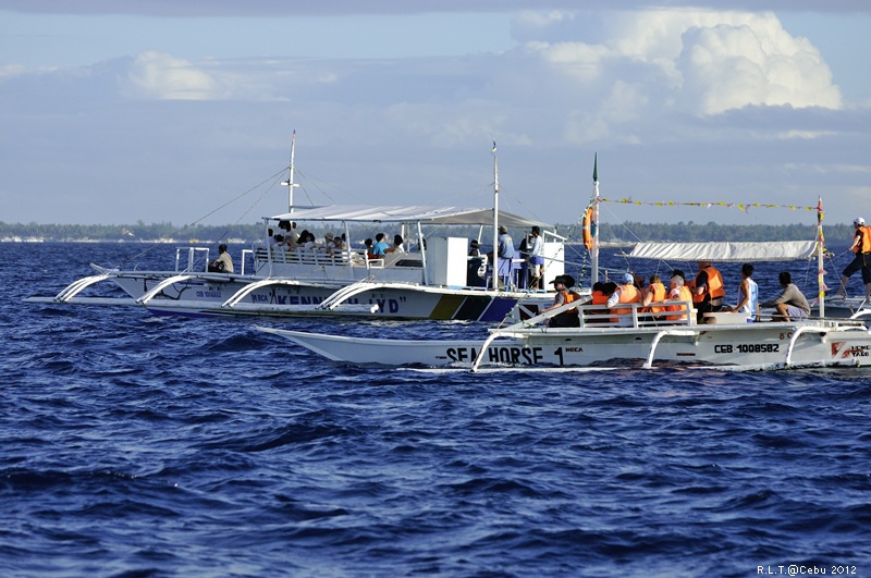 2012-CEBU菲律賓宿霧薄荷島-海豚迷蹤-D3+D300S (13)