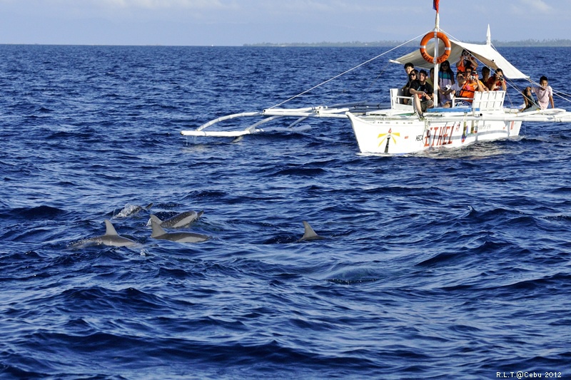 2012-CEBU菲律賓宿霧薄荷島-海豚迷蹤-D3+D300S (39)