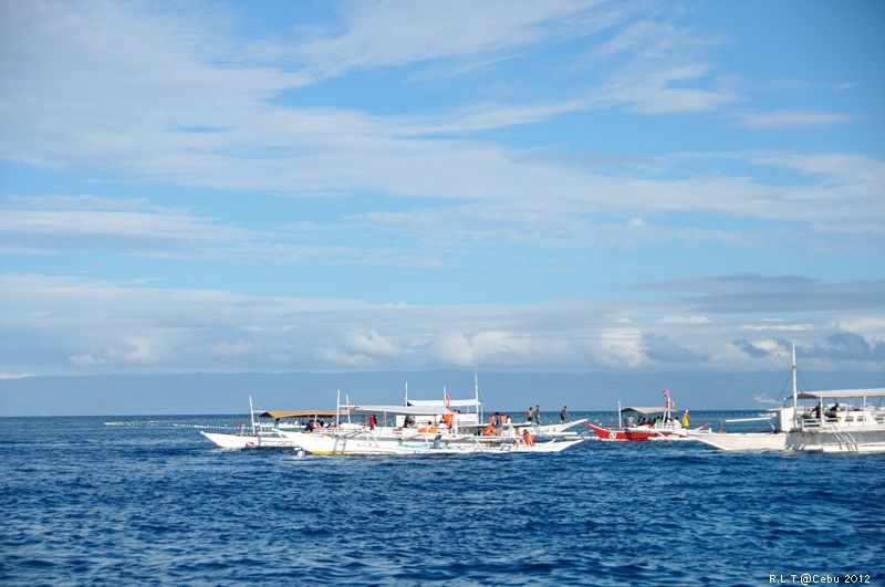 2012-CEBU菲律賓宿霧薄荷島-Bohol Beach Club+釣魚+沙灘烤肉bbq (8)