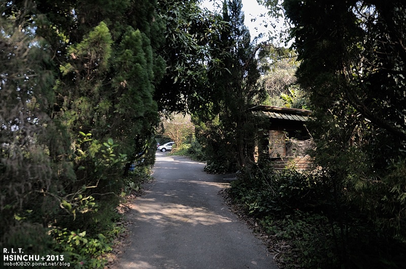 新竹-橘園-橫山村-土雞玉米雞-休閒農莊 (24)