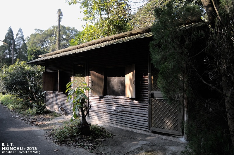 新竹-橘園-橫山村-土雞玉米雞-休閒農莊 (25)