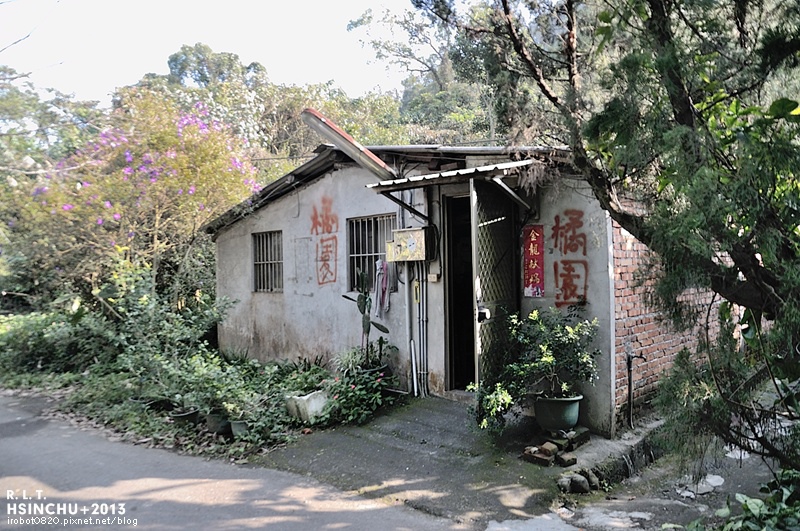 新竹-橘園-橫山村-土雞玉米雞-休閒農莊 (28)