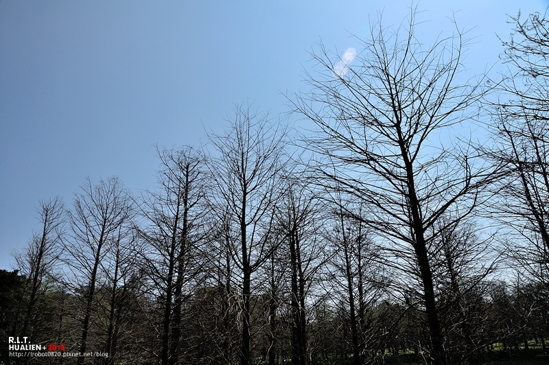 花蓮-雲山水 (40)