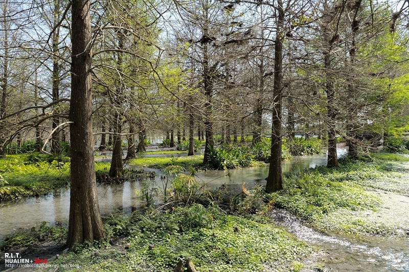 花蓮-雲山水 (61)