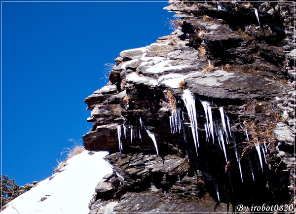 合歡山2010格友衝_18.jpg