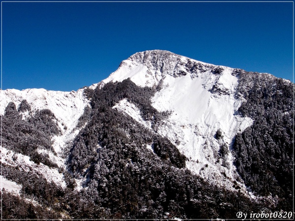 合歡山2010格友衝_62.jpg