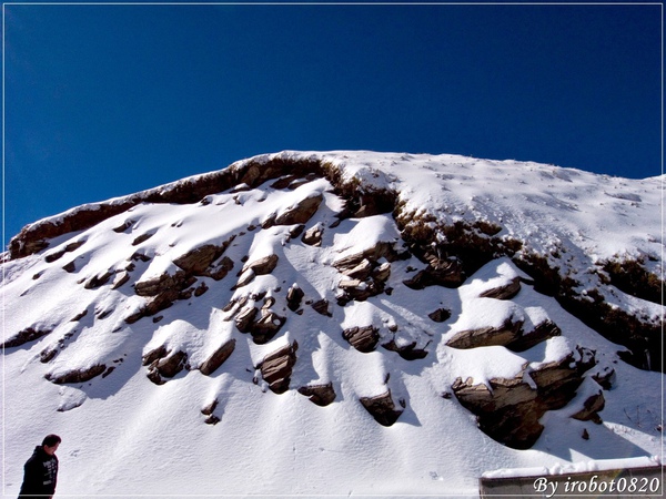 合歡山2010格友衝_80.jpg