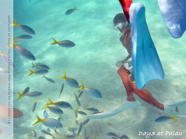 IMG_0599.JPG IMG_0599.JPG