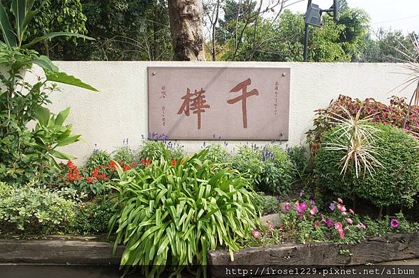 千樺 千樺