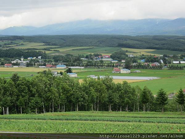 IMG_3609 IMG_3609