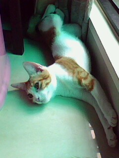 IMG0015A.jpg IMG0015A.jpg