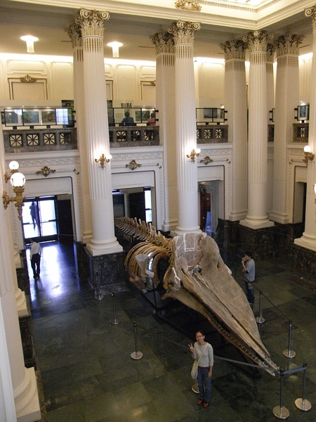 大小比例尺 大小比例尺