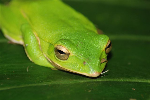 到底是拍夠了沒??