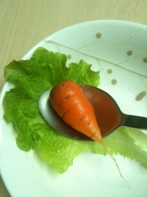 一口胡蘿蔔.JPG 一口胡蘿蔔.JPG