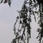 逾越 逾越