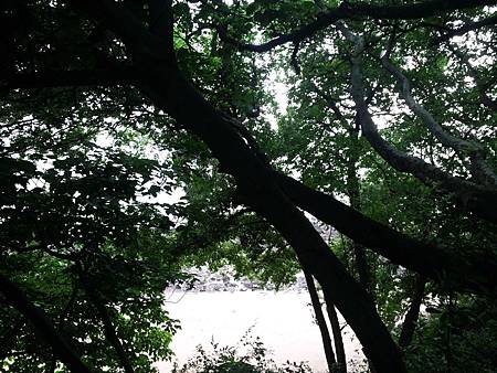 20130625_170030 20130625_170030