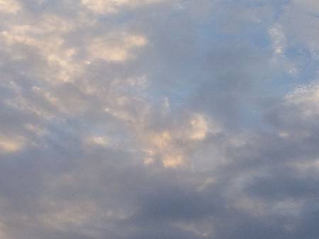 2013013_061229 2013013_061229