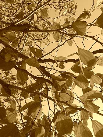 20131226_1飈 20131226_1飈
