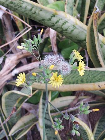 20140330_1 20140330_1