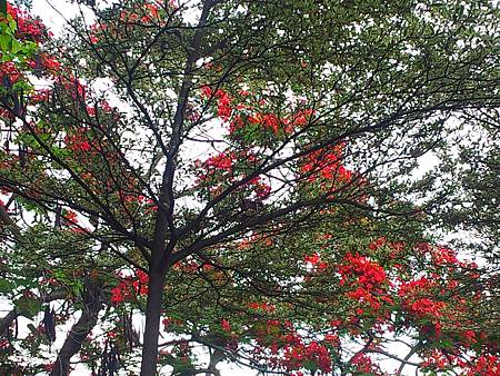 20140524_164338.jpg 20140524_164338.jpg