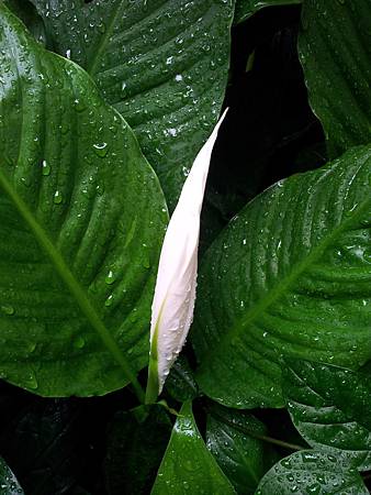 20140607_20 20140607_20