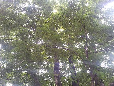 20140806_160 20140806_160