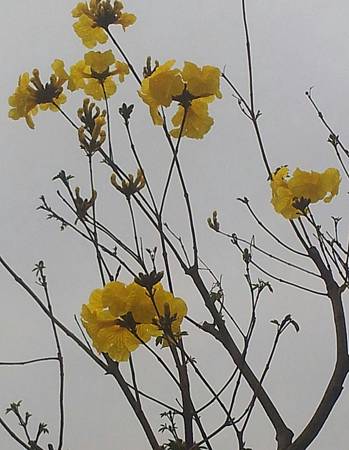 20150303_1 20150303_1