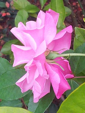 20150305_123 20150305_123