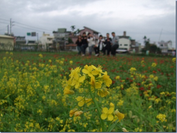 990124-277 990124-277