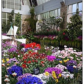 Auckland Winter garden Auckland Winter garden