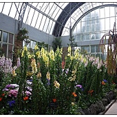 Auckland Winter garden Auckland Winter garden