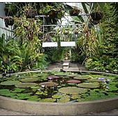 Auckland Winter garden Auckland Winter garden