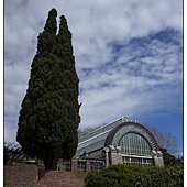 Auckland Winter garden cafe Auckland Winter garden cafe