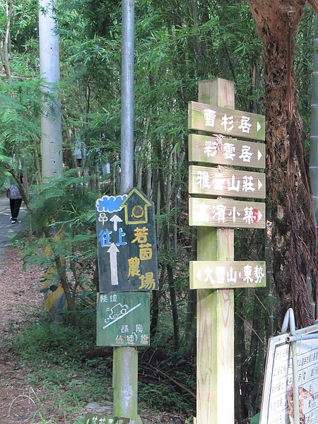 東勢大雪山 (217).jpg