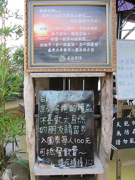 東勢大雪山 (234).jpg