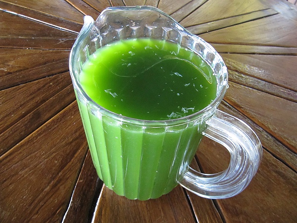 東勢大雪山 (259).jpg