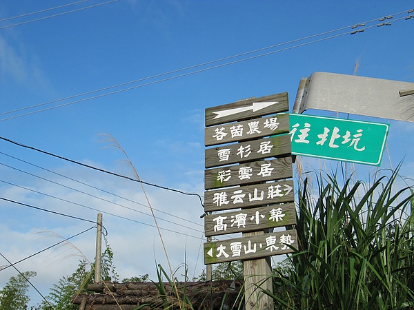 東勢大雪山 (216).jpg