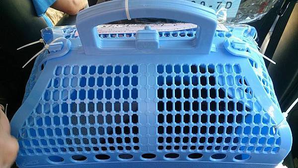 10357122_10152602482567508_509106055721078861_n