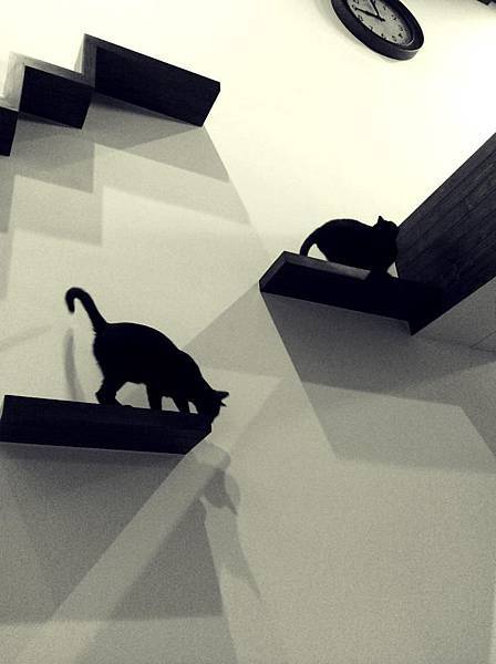 10303378_751694208238322_2085791402259659955_n