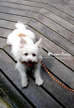 mdr0309-002 mdr0309-002