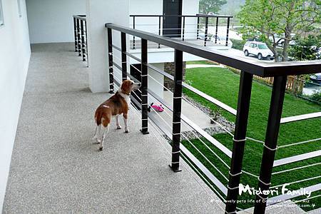 mdr0309-013 mdr0309-013