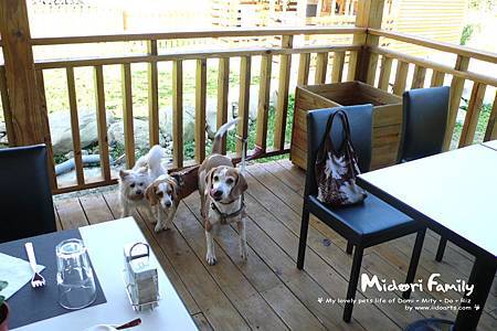 mdr0309-018 mdr0309-018