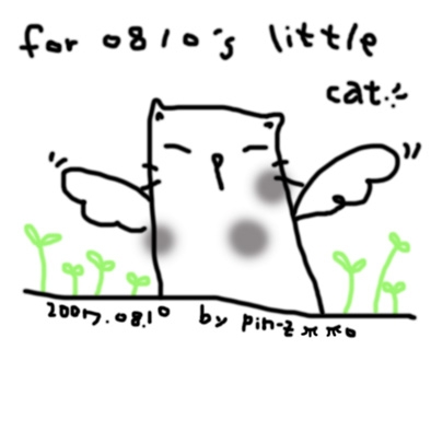 111-cat-s.jpg 111-cat-s.jpg