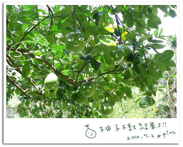 990702-tree.jpg 990702-tree.jpg